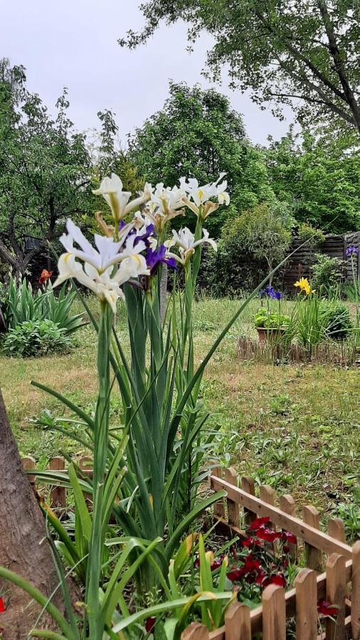 Maison Lumineuse Et Spacieuse Avec Jardin Arbore La Valette-du-Var Dış mekan fotoğraf